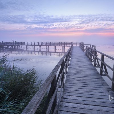 mohsin_ahmad44's profile picture. An Enthusiastic and Resilient Scientist.