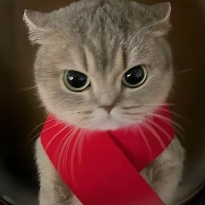 moemoelu's profile picture. 只对一个人色怎么不是纯爱了呢