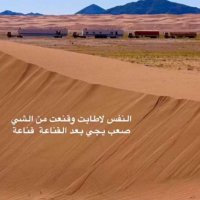 شبيب بن وندان (@shbub_) Twitter profile photo