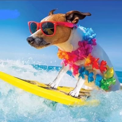 stomachworms2's profile picture. Here for a good time, not a long time!