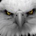 Freedom's Edge (@antimatterrlg) Twitter profile photo Freedom's Edge (@antimatterrlg) Twitter profile photo