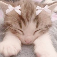 6ZOgdA2 (@coayls) 's Twitter Profile Photo 6ZOgdA2 (@coayls) 's Twitter Profile Photo