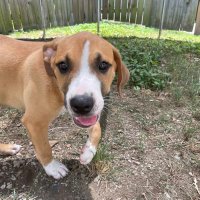 william collins (@willyocollins) 's Twitter Profile Photo