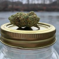 Axel & Orbit (@alwaysbehigher) 's Twitter Profile Photo