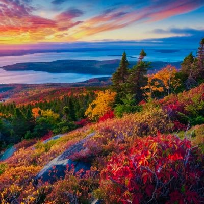 Sergio125104411's profile picture. Live