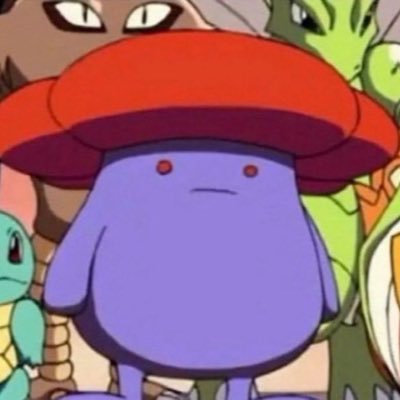 Fan account of the •Vikings 🏈 | •Twins ⚾️ | IFB❗️| DM if I forgot to follow back