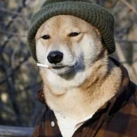 C (@ctlscbr) 's Twitter Profile