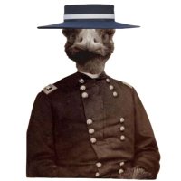 51stStateSage (@asageoftruths) 's Twitter Profile Photo 51stStateSage (@asageoftruths) 's Twitter Profile Photo