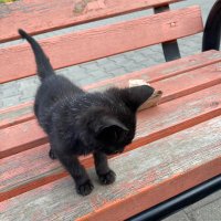 bella (@bellaa_eth) 's Twitter Profile