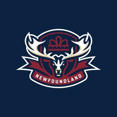 The non-official X account of the Newfoundland Regiment Hockey Club.