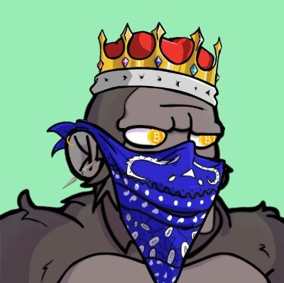 jedradovan's profile picture. 