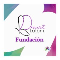 Fundación Dravet Latam (@dravetlatam) 's Twitter Profile Photo