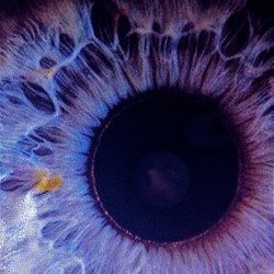 gonza_adri36858's profile picture. 