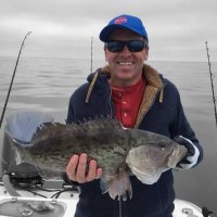 Mr Marlin (@ultramaga2a) Twitter profile photo