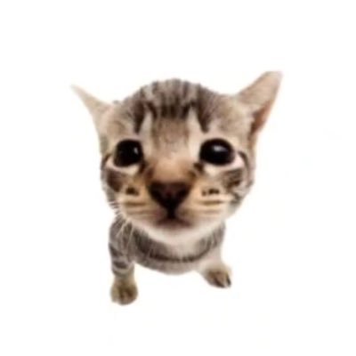 makisisp's profile picture. flasheen confianza no ma #kpoptwt #animetwt #edtwt