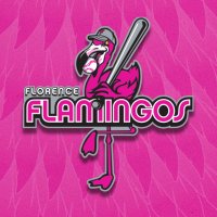 Florence Flamingos (@floflamingos) 's Twitter Profile
