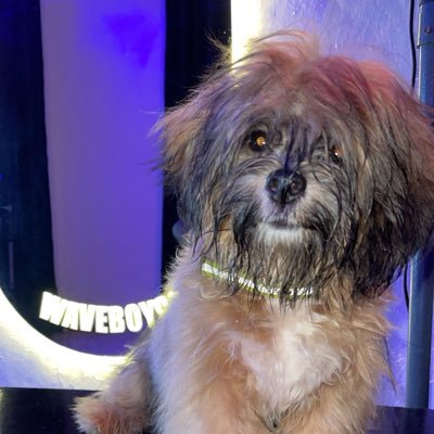 Bigwave_98's profile picture. 