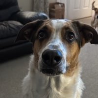 Peter (@peter060910) 's Twitter Profile
