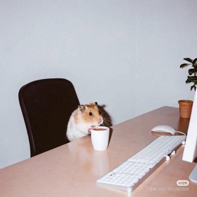 STAROHATINY's profile picture. 