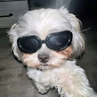 es_stori's profile picture. ꜰᴀɴ ᴀᴄᴄᴏᴜɴᴛ : 🅑🅞🅤🅝Ⓟⓡⓔⓜ #บุ๋นเปรม❤️🩵