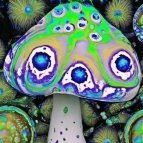 4tw0ne's profile picture. Working to discover and express my authentic self in an iterative process—unraveling who I am beyond the Negative Spaces that once shaped me.