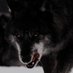 Pathetic butch dog🔻🔞 (@762altgay) Twitter profile photo Pathetic butch dog🔻🔞 (@762altgay) Twitter profile photo