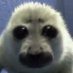 leroy (‼️MINOR NSFW DNI‼️) (@leroyelpatojoyt) Twitter profile photo leroy (‼️MINOR NSFW DNI‼️) (@leroyelpatojoyt) Twitter profile photo