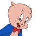 Porky (@dirtyporky) Twitter profile photo Porky (@dirtyporky) Twitter profile photo