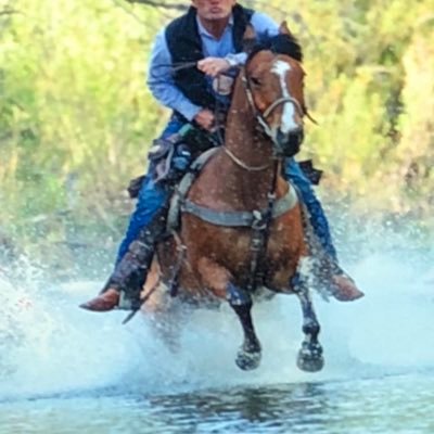 NTX/SOK Patriot 🇺🇸🤠 “without 2A we don’t have 1A”! #Trump Protect our children & border! God Bless 🇺🇸America