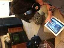 C_WillisPRTL's profile picture. just another musician tryin to make a difference