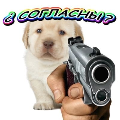 светочкаさんのプロフィール画像