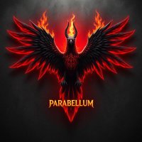 Parabellum eSports (@cr_parabellum) 's Twitter Profile