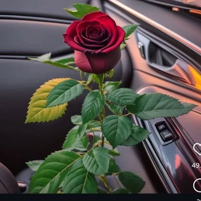 AwaisAh18179419's profile picture. 