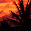 Stephanie McCombs - @stephanie7775 - Twitter