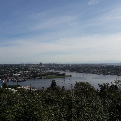 MarthaW77052202's profile picture. 