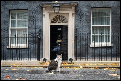 normfornorfolk's profile picture. 