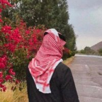 الشامخ (@y8s119) 's Twitter Profile