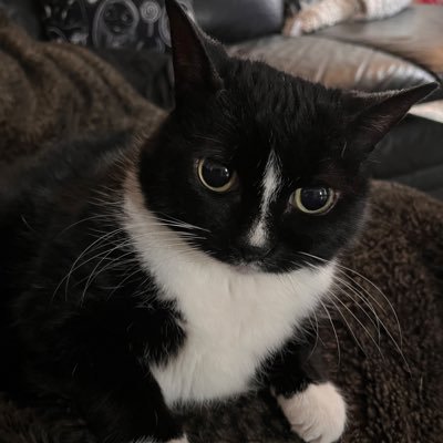 davethompson185's profile picture. Relocated Mancunian.