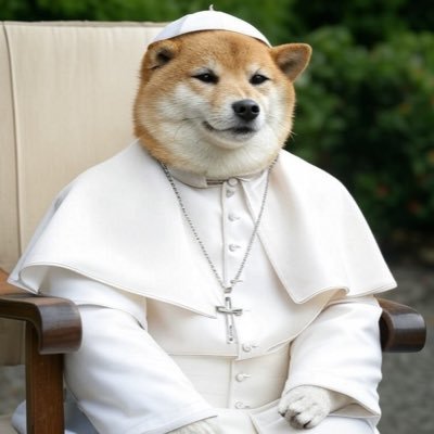 PopeCovidXIX's profile picture. Flamingo 🦩 🚀Aficionado. Anglo-Saxon. Decadent Westerner. Meme Mechanic. Volunteer At A Brain Damaged Cartoon Dog Rescue. Definitely Not C.I.A