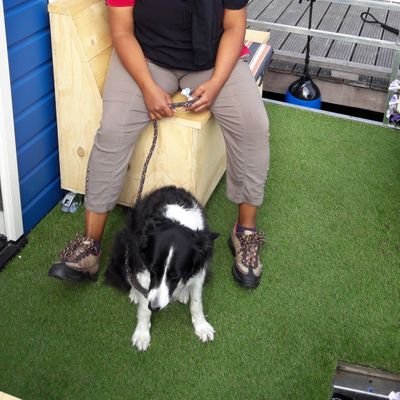 Ushakir32681637's profile picture. 🍀PvdD #Fairphone 
Deze was eerder@Childfreelife2 🌬️Dull as dishwater
 
Knausgård #Frontlinie #allthingsdog BSky

Geboren in Param...getogena/d'Overtoom te AMS