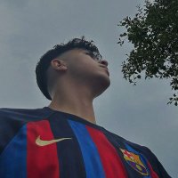 Alejandro Linares (@harryalext) 's Twitter Profile