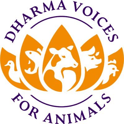 DVA is the only international Buddhist animal advocacy organization in the world.