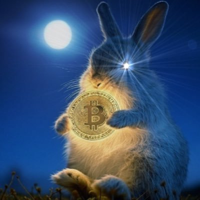 nasis_NTM's profile picture. Jan-2025 : New world begins. Peace and security in the world🌏 And bitcoin is…