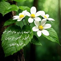 zoozoo (@um_shouq200) 's Twitter Profile Photo