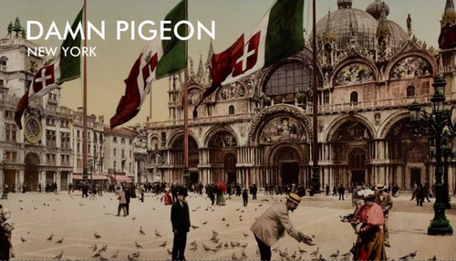 DamnPigeonNy's profile picture. We imprint these concrete streets; GRITTY, ELEGANT & FLY. Take a step into the heart of every city. Break free n BE THE MOVEMENT.