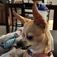 MS1057 (@mmtx1057) 's Twitter Profile