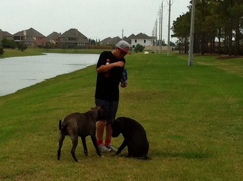 LoongEric's profile picture. 