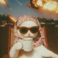 Sali saad (@sali0027) Twitter profile photo