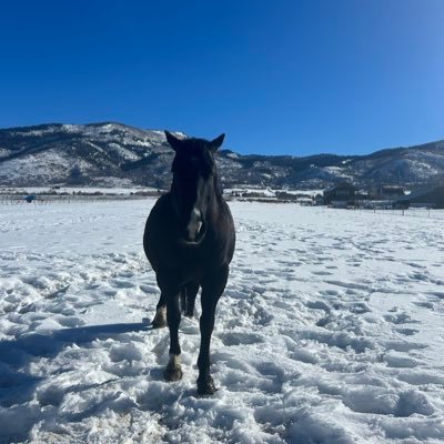 SamakU1918's profile picture. Mountain Man