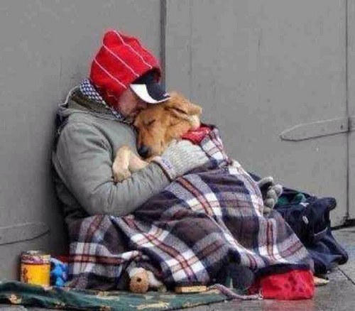 Wiggyville's profile picture. bio ? aint that a washing up powder ?